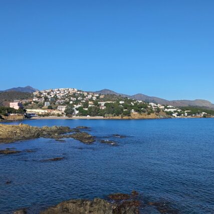 Tintoreres Swimming Club