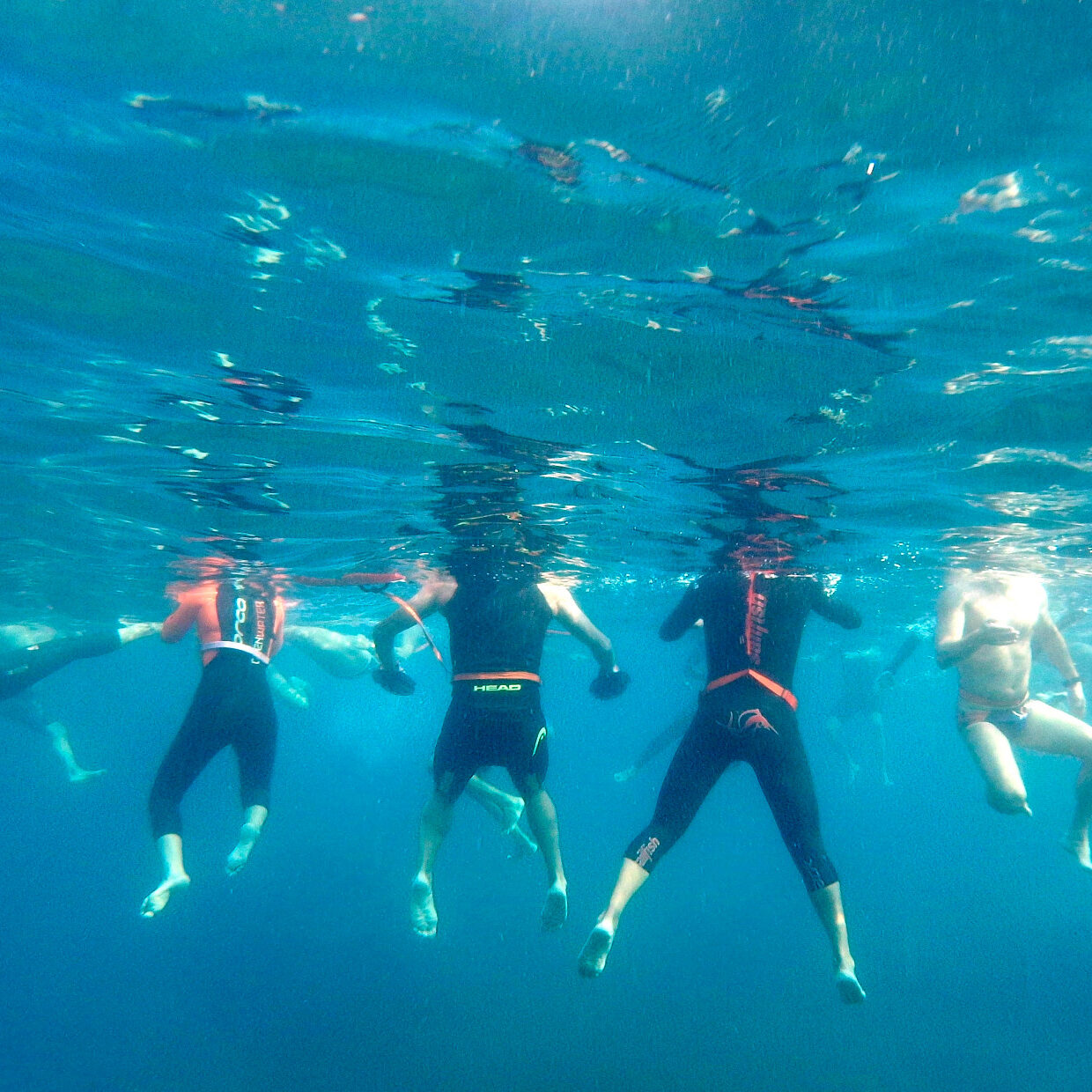 Tintoreres Swimming Club