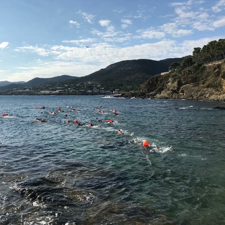 Tintoreres Swimming Club